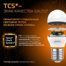 Лампа светодиодная Globe E27 6.5W 220в. 3000K Gauss (105102107) 