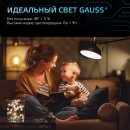 Лампа светодиодная, шар, E14, 6.5Вт, 4100K, Globe, Gauss (105101207) 