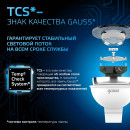 Лампа Gauss MR16 5W 530lm 6500K GU5.3 LED  (101505305) 