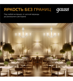 Лампа Gauss Filament Шар 9W 680lm 2700К Е27 LED 