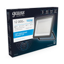 Прожектор Gauss Qplus 100W 12000lm 6500K 175-265V IP65 черный LED  (613511100) 