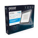 Прожектор Gauss Qplus 50W 5250lm 6500K 200-240V IP65 графитовый LED  (690511350) 