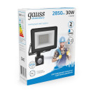 Прожектор Gauss Elementary-S 30W 2850lm 6500К 175-265V IP65 черный с датчиком движения LED  (628511330) 