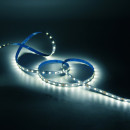 Лента Gauss Basic LED 5050/60 12V 10W/m 700lm/m 4000K 10mm IP20 1m  (BT034) 