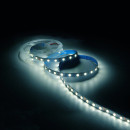 Лента Gauss Basic LED 5050/60 12V 10W/m 700lm/m 4000K 10mm IP20 1m  (BT034) 