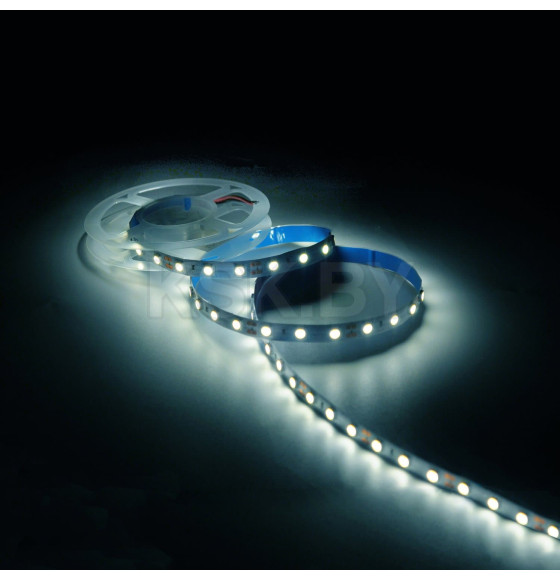 Лента Gauss Basic LED 5050/60 12V 10W/m 700lm/m 4000K 10mm IP20 1m  (BT034) 