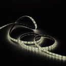 Лента Gauss LED 5050/60-SMD 14.4W 12V DC теплый белый (блистер 5м)  (312000114) 