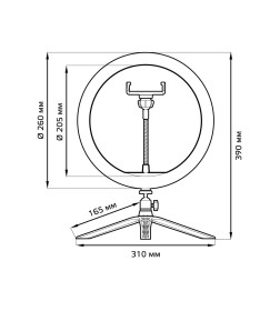 Кольцевая светодиодная лампа RL002 с комплектом креплений для установки телефона 26 см 14Вт ПУ Gauss