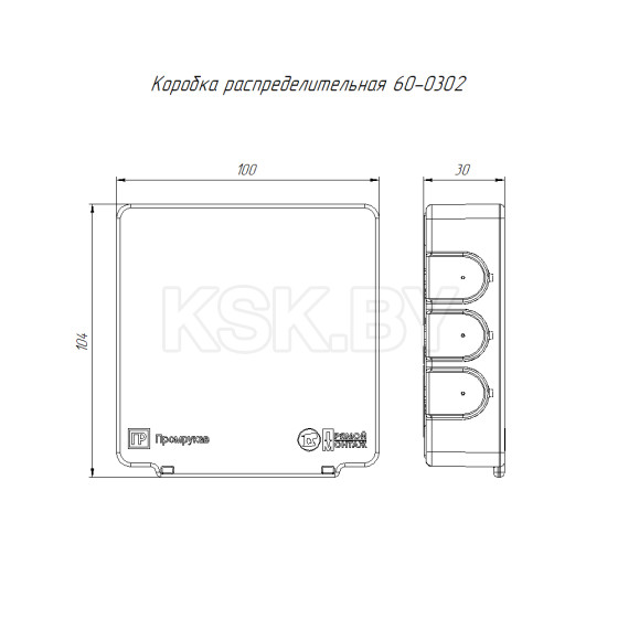 Коробка разветвительная для открытой установки 100*100*30мм IP55 Промрукав (60-0302) 