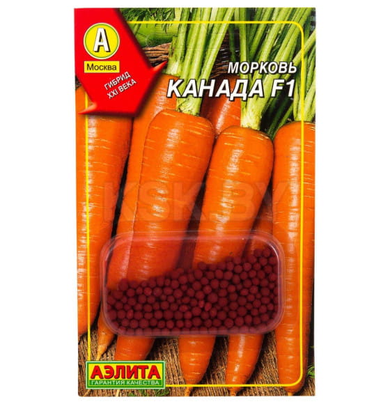 Морковь Канада F1 (дражже) 300шт семена.