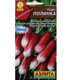 Редис Полинка 3г.