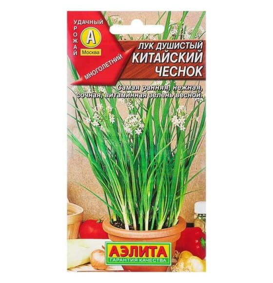 Лук душистый Китайский чеснок 0,3г семена.