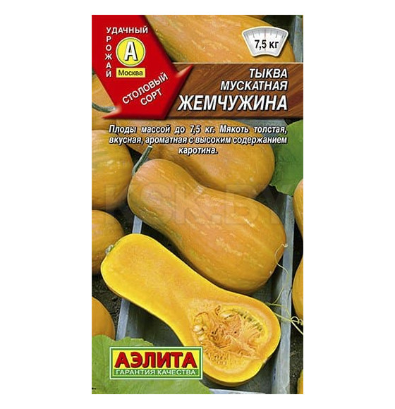 Тыква Жемчужина 1г семена.