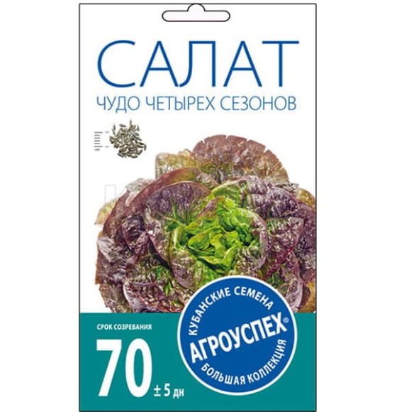 Салат Чудо четырех сезонов 1г.