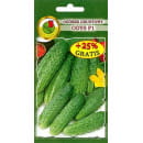 Огурец Одус 5г семена.