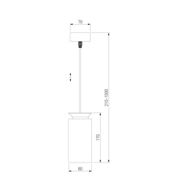 Светильник светодиодный стационарный белый матовый/золото, DLS021 9+4W 4200К 