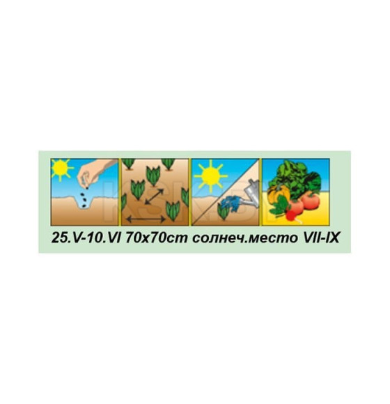 Кабачок Мурзилка 1,5г семена