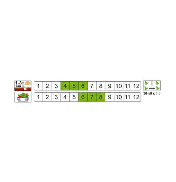Свекла Опольский 20г семена.