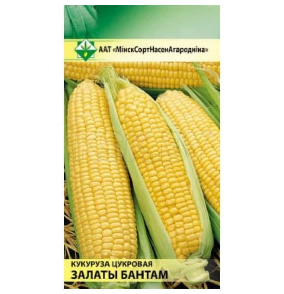 Кукуруза Золотой бантам сахарная 4г семена.