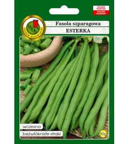 Фасоль Эстерка 50г семена.