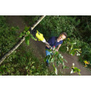 Сучкорез аккумуляторный RYOBI RY18PLA-0 (без батареи) ONE + (5133004575) 