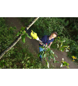 Сучкорез аккумуляторный RYOBI RY18PLA-0 (без батареи) ONE +