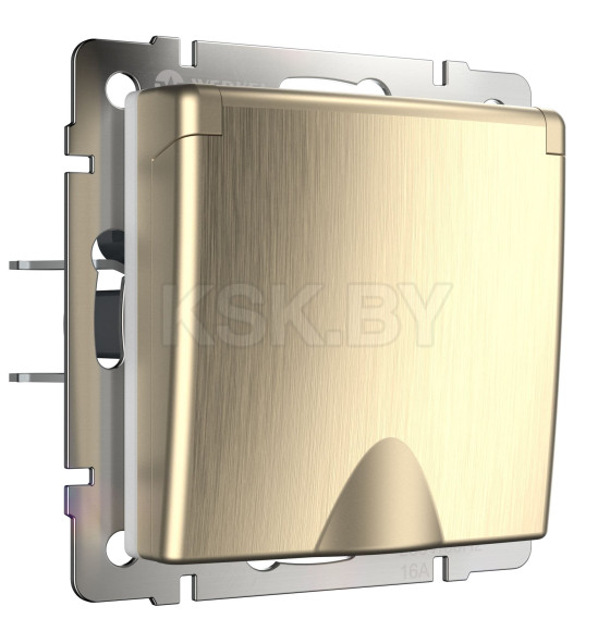 Розетка влагозащ. с зазем. с защит. крышкой и шторками шампань рифленый Werkel (W1171210) 