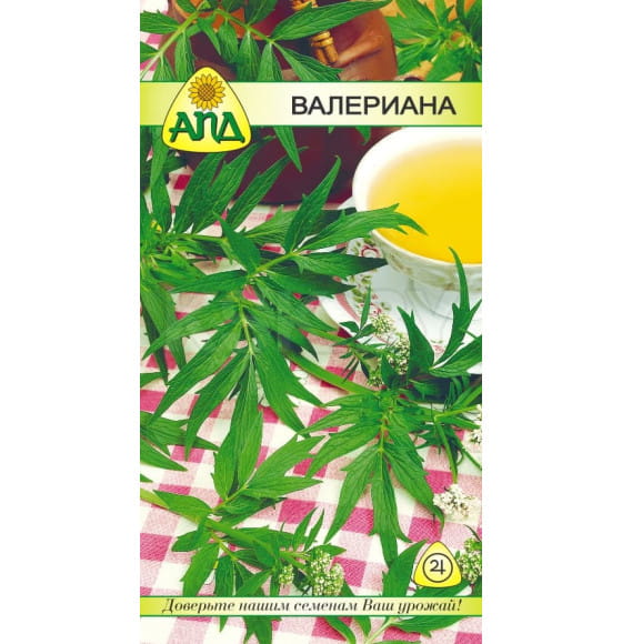 Валериана лекарственная