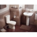 Унитаз напольный Rosa Комфорт (черный)