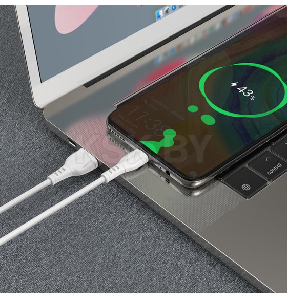 Кабель USB BOROFONE BX51 Triumph, USB - Type-C, 3A, 1 м, белый (O3248) 