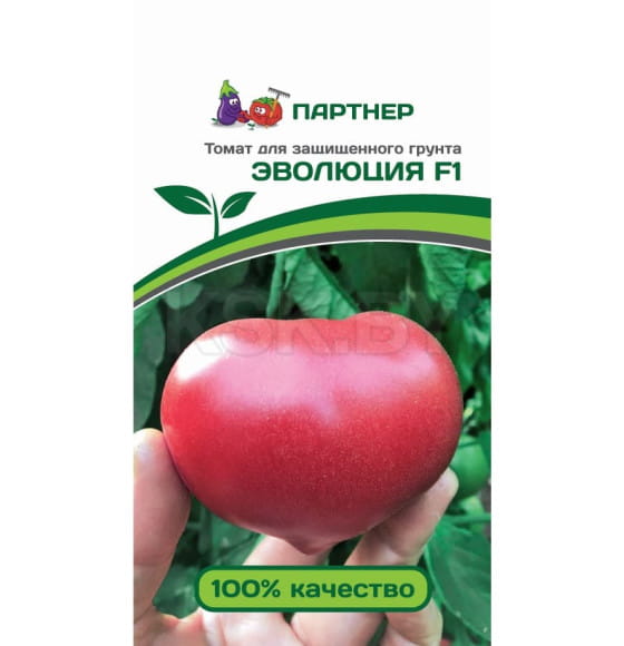 Томат  Эволюция F1, 10шт семена