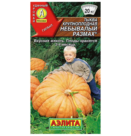 Тыква Небывалый размах крупноплодная