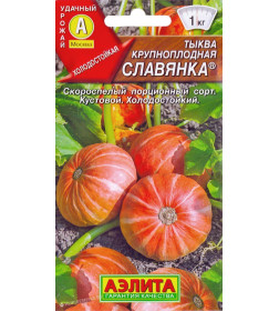 Тыква Славянка