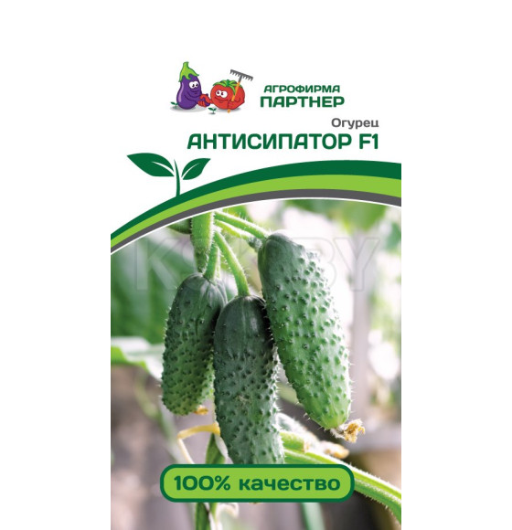 Огурец Антисипатор F1, 5шт семена