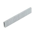 Скобы тип 18GA 19мм (2500шт) STARTUL PROFI (ST4520-19) 