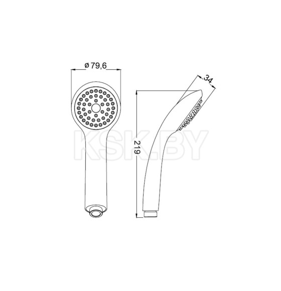 Душевая лейка IDDIS 11011 1F (A 11011 ) 