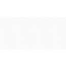 Luster Blanco Плитка настенная 249х500мм сорт 1 (WT9LST00 AltaCera)