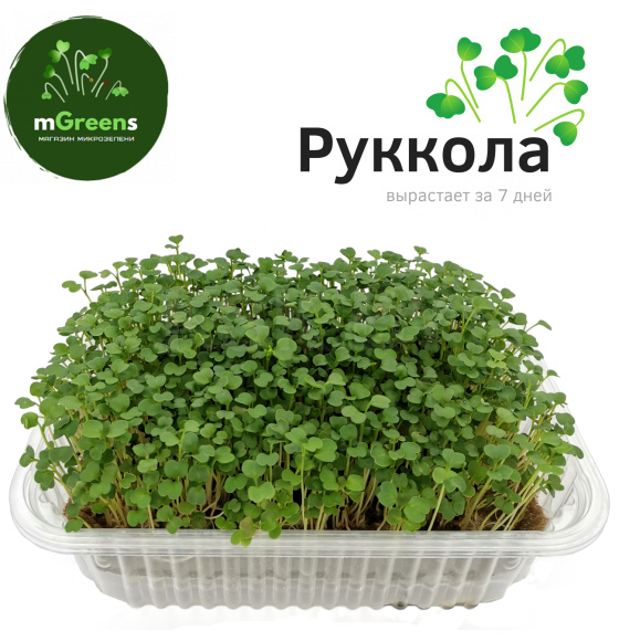 Набор для выращивания микрозелени РУККОЛА + БРОККОЛИ (набор на 2 урожая)