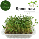 Набор для выращивания микрозелени РУККОЛА + БРОККОЛИ (набор на 2 урожая)