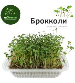 Набор для выращивания микрозелени РУККОЛА + БРОККОЛИ (набор на 2 урожая)