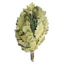 Веник Дубовый с Мятой, в упаковке, "Банные штучки" 32020 (32020) 