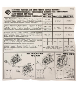 Реле давления  PM/5G  1-5bar  1/4 - F  ~250V  16A (10A)  IP44  подключение с накидной гайкой, Italtecnica