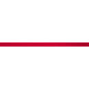 Изделия декоративные из стекла Соло 1 400х20мм с1 