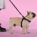 Шлейка United Pets для собак Complete me Identity 2,5 x 40-54 см, черная с розовым (GPCMH2212FID) 