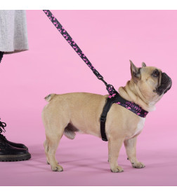 Шлейка United Pets для собак Complete me Identity 1,5 x 34-42 см, черная с розовым