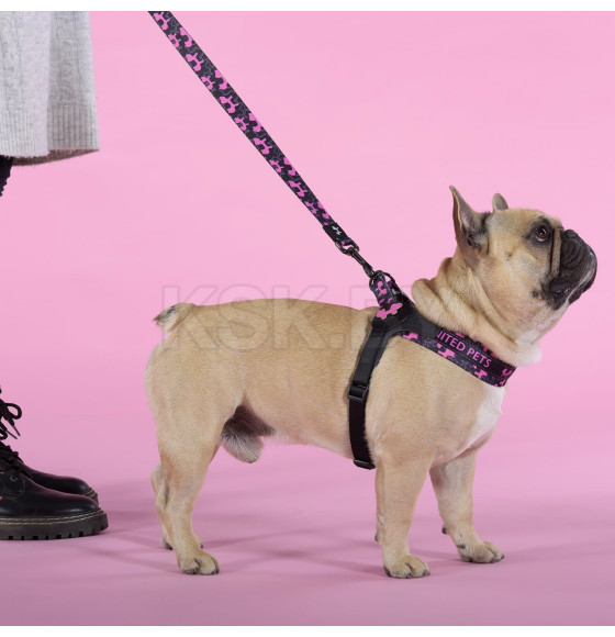 Шлейка United Pets для собак Complete me Identity 2,5 x 40-54 см, черная с розовым (GPCMH2212FID) 