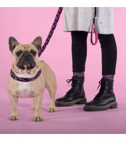 Шлейка United Pets для собак Complete me Identity 1,5 x 34-42 см, черная с розовым