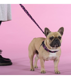 Шлейка United Pets для собак Complete me Identity 1,5 x 34-42 см, черная с розовым