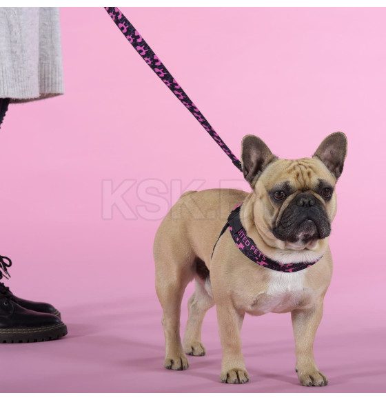 Шлейка United Pets для собак Complete me Identity 2,5 x 40-54 см, черная с розовым (GPCMH2212FID) 