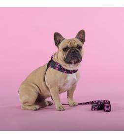 Шлейка United Pets для собак Complete me Identity 1,5 x 34-42 см, черная с розовым